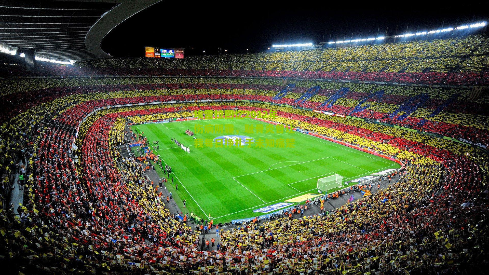 埃雷拉回忆2012年伤病阴霾，耻骨炎曾让我每日挣扎于未知痛楚